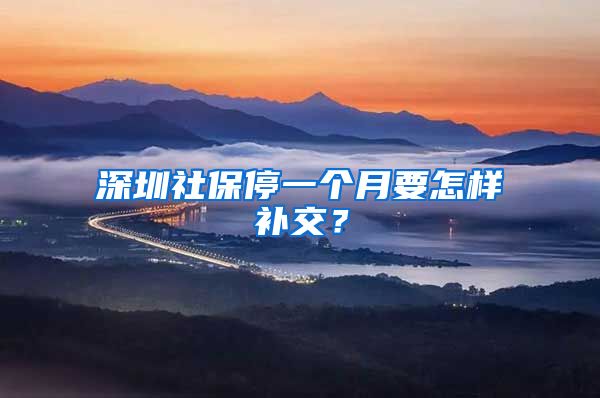 深圳社保停一个月要怎样补交？