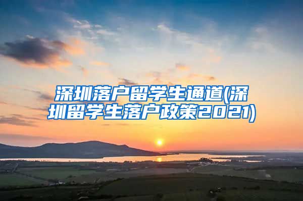 深圳落户留学生通道(深圳留学生落户政策2021)