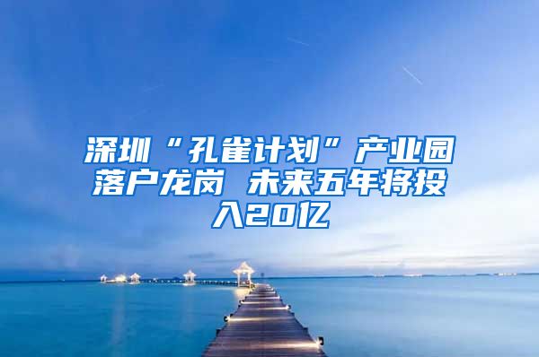 深圳“孔雀计划”产业园落户龙岗 未来五年将投入20亿