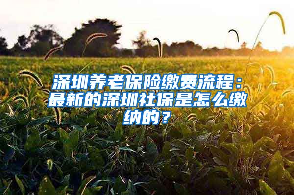 深圳养老保险缴费流程：最新的深圳社保是怎么缴纳的？