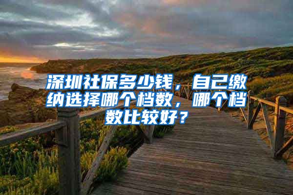 深圳社保多少钱，自己缴纳选择哪个档数，哪个档数比较好？