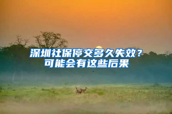 深圳社保停交多久失效？可能会有这些后果