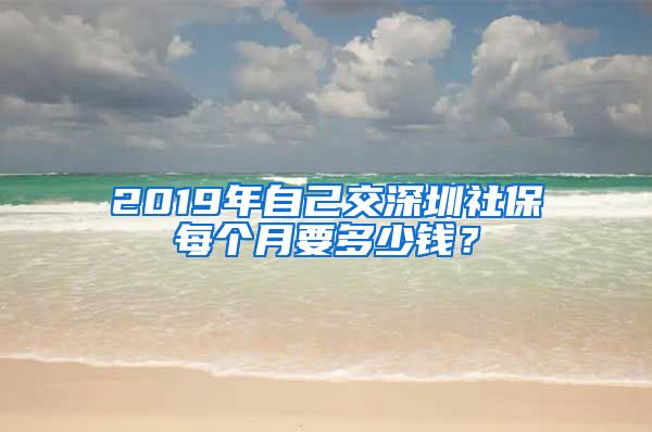 2019年自己交深圳社保每个月要多少钱？