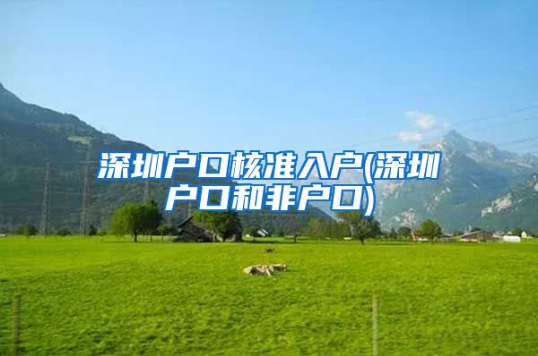 深圳户口核准入户(深圳户口和非户口)