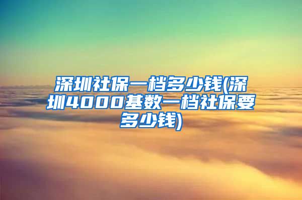 深圳社保一档多少钱(深圳4000基数一档社保要多少钱)