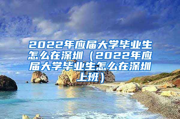 2022年应届大学毕业生怎么在深圳（2022年应届大学毕业生怎么在深圳上班）