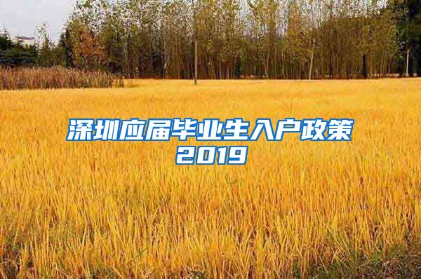 深圳应届毕业生入户政策2019