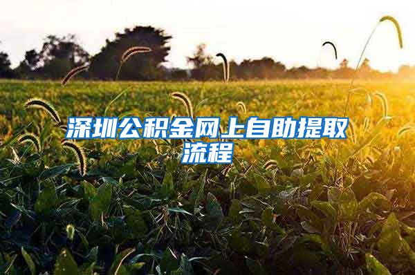 深圳公积金网上自助提取流程