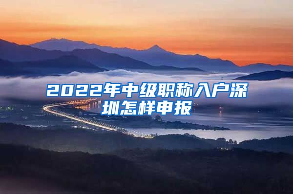 2022年中级职称入户深圳怎样申报