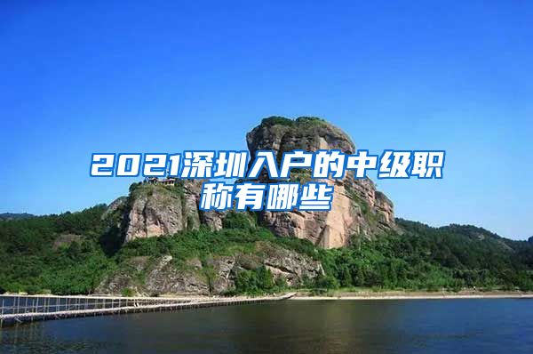 2021深圳入户的中级职称有哪些