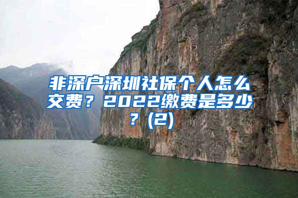 非深户深圳社保个人怎么交费？2022缴费是多少？(2)