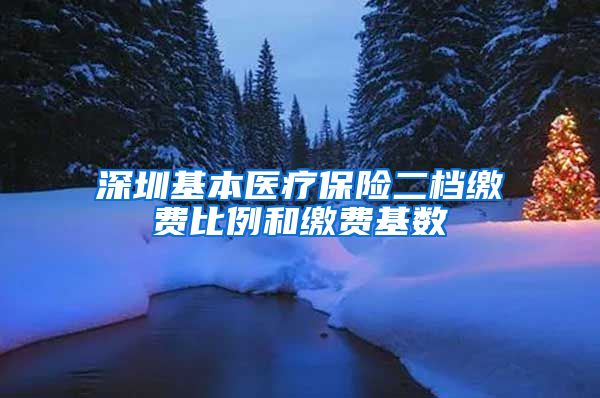 深圳基本医疗保险二档缴费比例和缴费基数