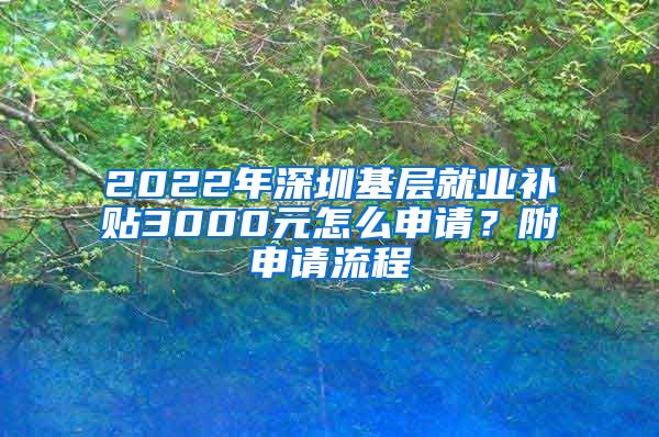 2022年深圳基层就业补贴3000元怎么申请？附申请流程