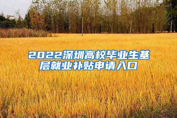 2022深圳高校毕业生基层就业补贴申请入口