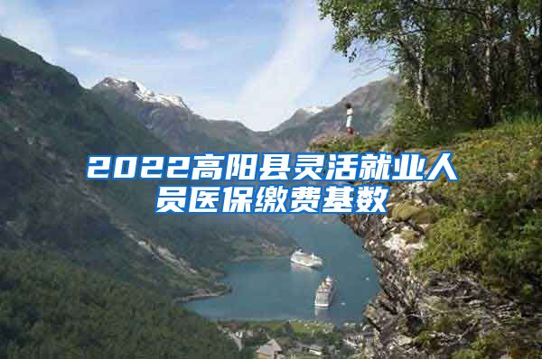 2022高阳县灵活就业人员医保缴费基数