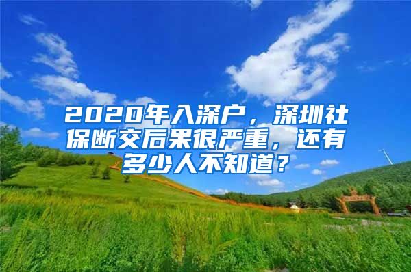 2020年入深户，深圳社保断交后果很严重，还有多少人不知道？