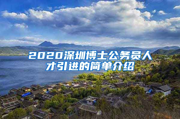 2020深圳博士公务员人才引进的简单介绍