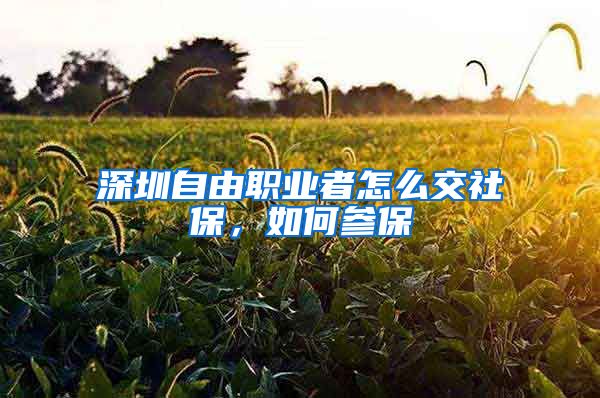 深圳自由职业者怎么交社保，如何参保