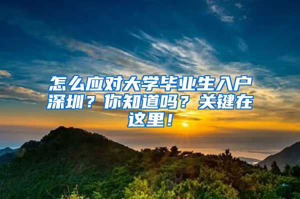 怎么应对大学毕业生入户深圳？你知道吗？关键在这里！