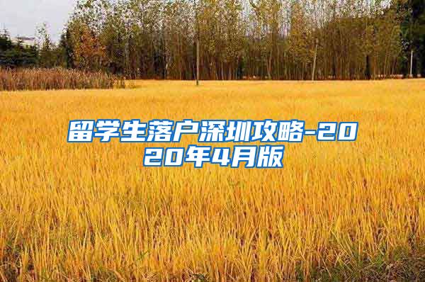 留学生落户深圳攻略-2020年4月版