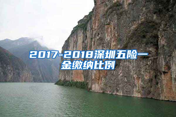 2017-2018深圳五险一金缴纳比例