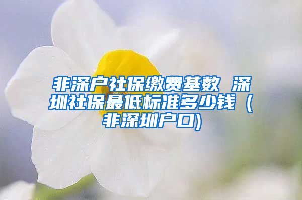 非深户社保缴费基数 深圳社保最低标准多少钱（非深圳户口)