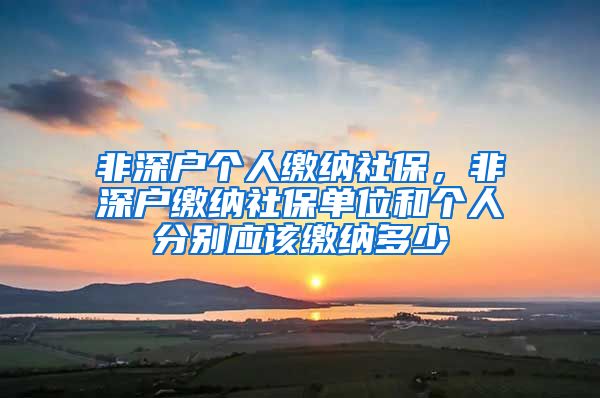 非深户个人缴纳社保，非深户缴纳社保单位和个人分别应该缴纳多少