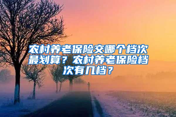 农村养老保险交哪个档次最划算？农村养老保险档次有几档？