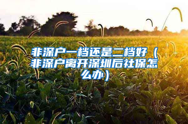 非深户一档还是二档好（非深户离开深圳后社保怎么办）