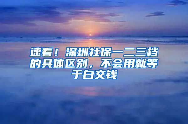 速看！深圳社保一二三档的具体区别，不会用就等于白交钱