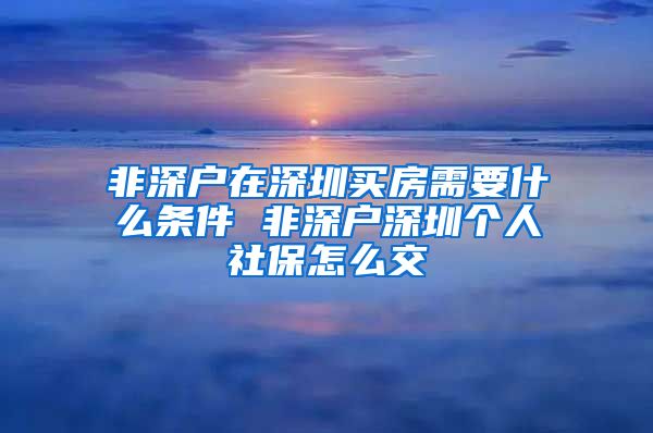 非深户在深圳买房需要什么条件 非深户深圳个人社保怎么交