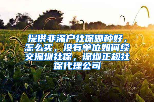 提供非深户社保哪种好，怎么买，没有单位如何续交深圳社保，深圳正规社保代理公司