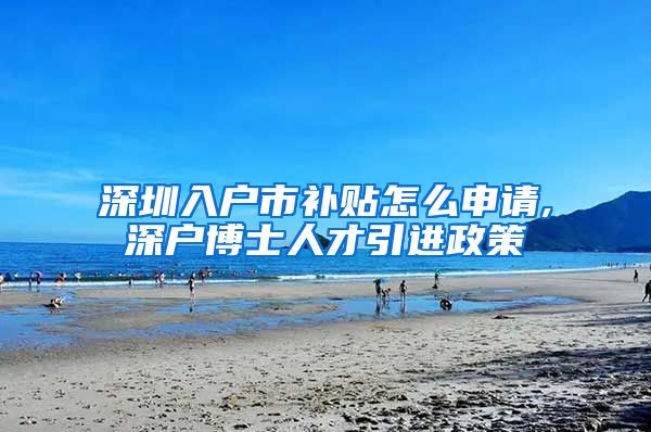 深圳入户市补贴怎么申请,深户博士人才引进政策