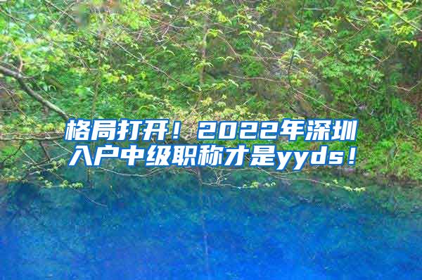 格局打开！2022年深圳入户中级职称才是yyds！