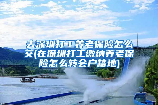 去深圳打工养老保险怎么交(在深圳打工缴纳养老保险怎么转会户籍地)