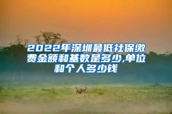 2022年深圳最低社保缴费金额和基数是多少,单位和个人多少钱