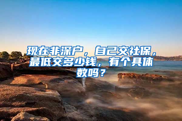 现在非深户，自己交社保，最低交多少钱，有个具体数吗？