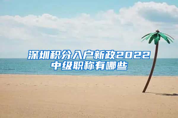 深圳积分入户新政2022中级职称有哪些