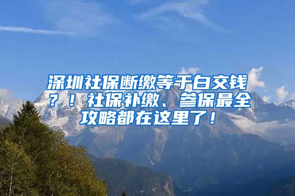 深圳社保断缴等于白交钱？！社保补缴、参保最全攻略都在这里了！