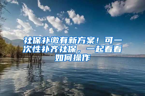 社保补缴有新方案！可一次性补齐社保，一起看看如何操作