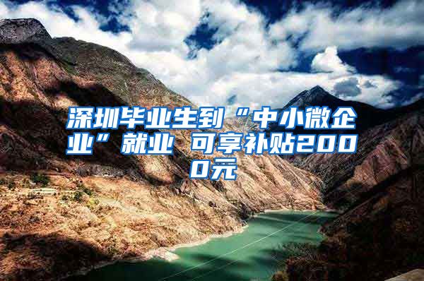 深圳毕业生到“中小微企业”就业 可享补贴2000元