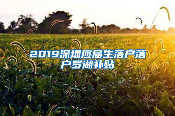 2019深圳应届生落户落户罗湖补贴