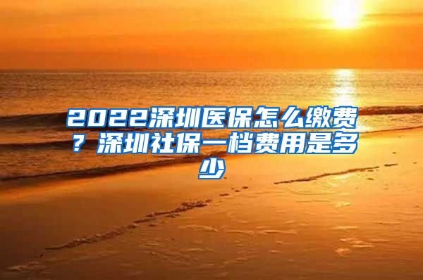 2022深圳医保怎么缴费？深圳社保一档费用是多少