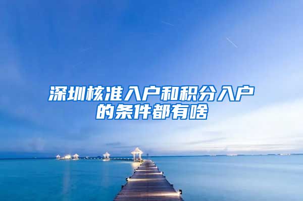 深圳核准入户和积分入户的条件都有啥