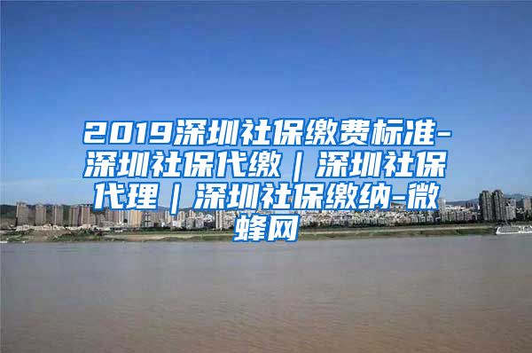 2019深圳社保缴费标准-深圳社保代缴｜深圳社保代理｜深圳社保缴纳-微蜂网