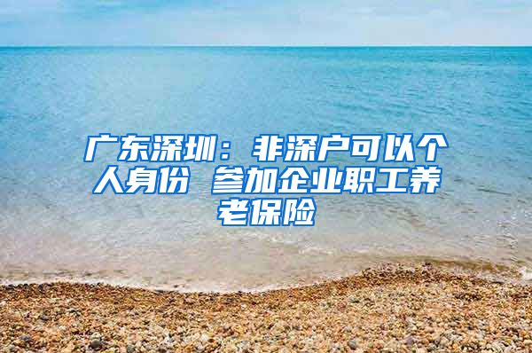 广东深圳：非深户可以个人身份 参加企业职工养老保险