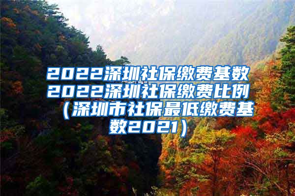 2022深圳社保缴费基数2022深圳社保缴费比例（深圳市社保最低缴费基数2021）