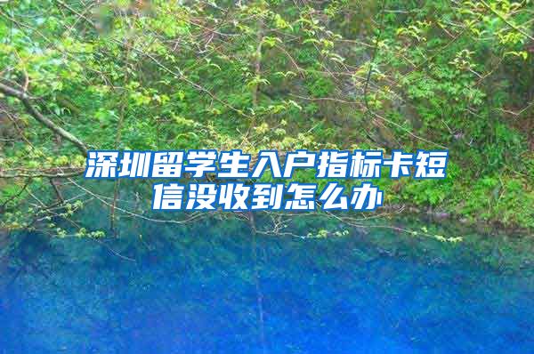 深圳留学生入户指标卡短信没收到怎么办