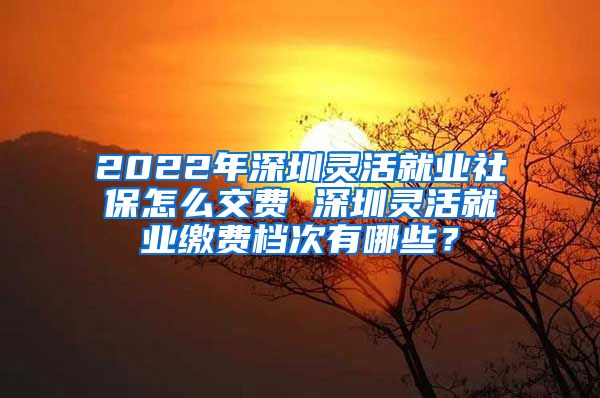 2022年深圳灵活就业社保怎么交费 深圳灵活就业缴费档次有哪些？