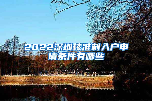 2022深圳核准制入户申请条件有哪些